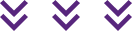 Chevron Icon